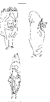 a4.gif