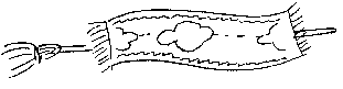k-orient.gif