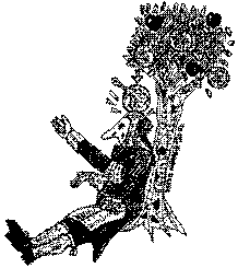 newton.gif