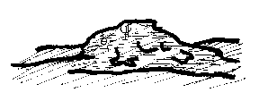 zd5.gif