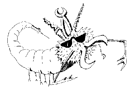 zlbr_obr